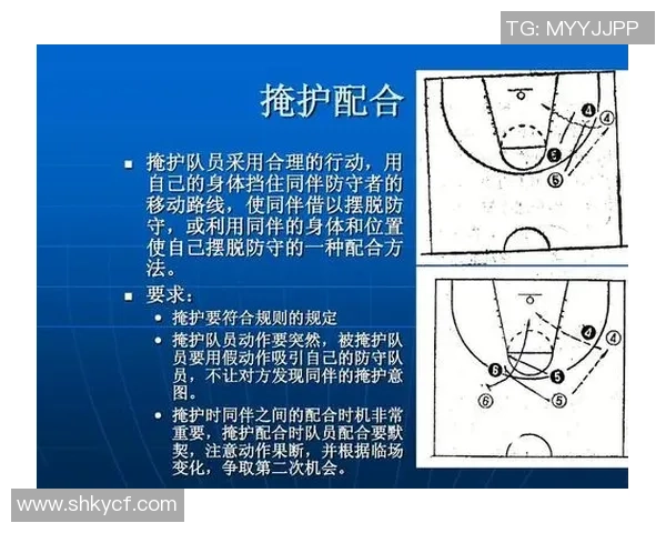 深圳篮球队反击战术深度解析与成功秘诀探讨